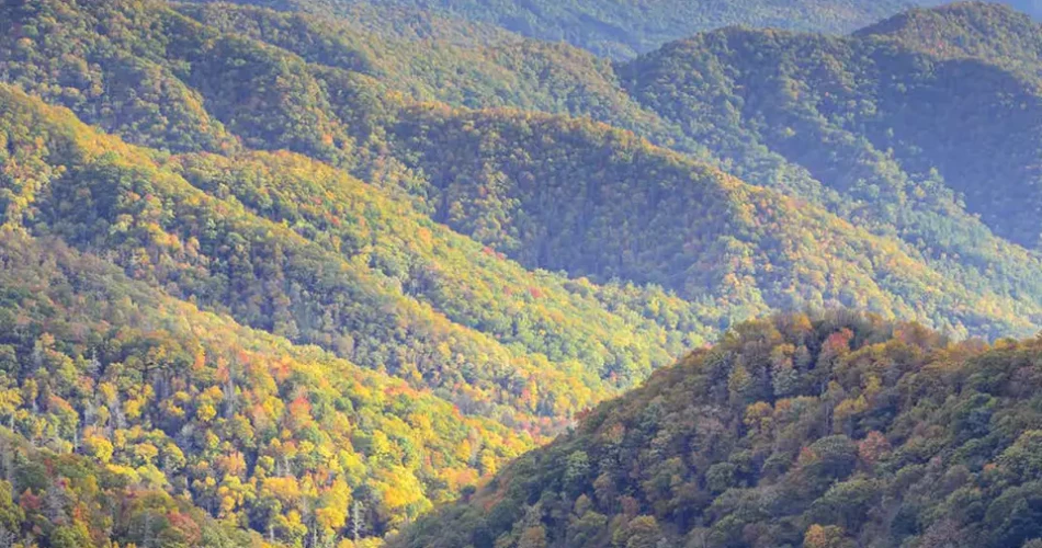 Beautiful Places to Sit and Enjoy the Mountains in Gatlinburg