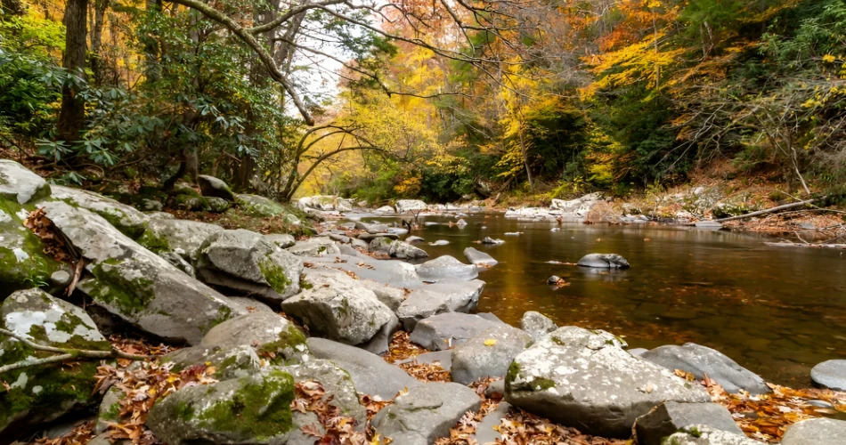 A Slower Way to Experience Gatlinburg