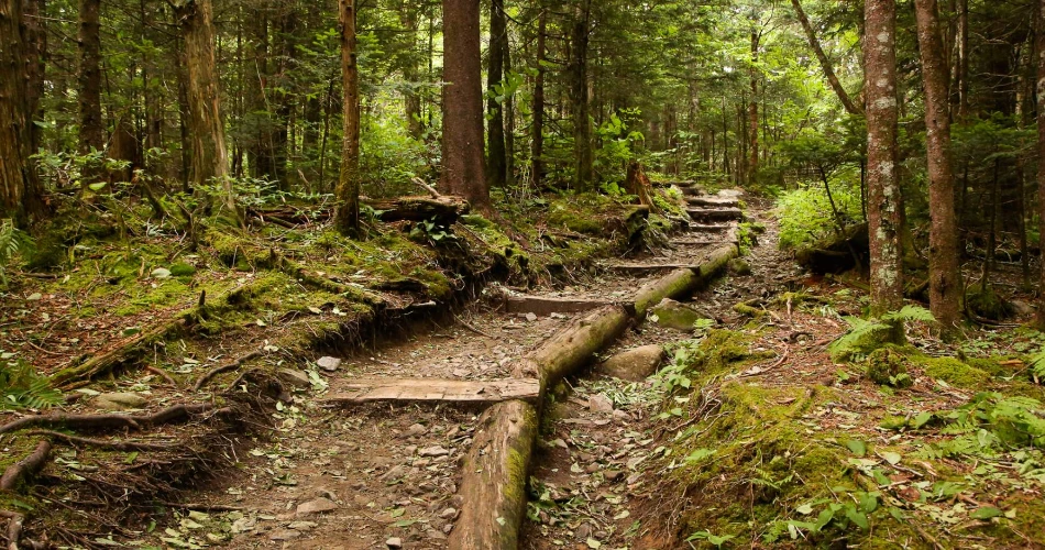 A Slower Way to Experience Gatlinburg