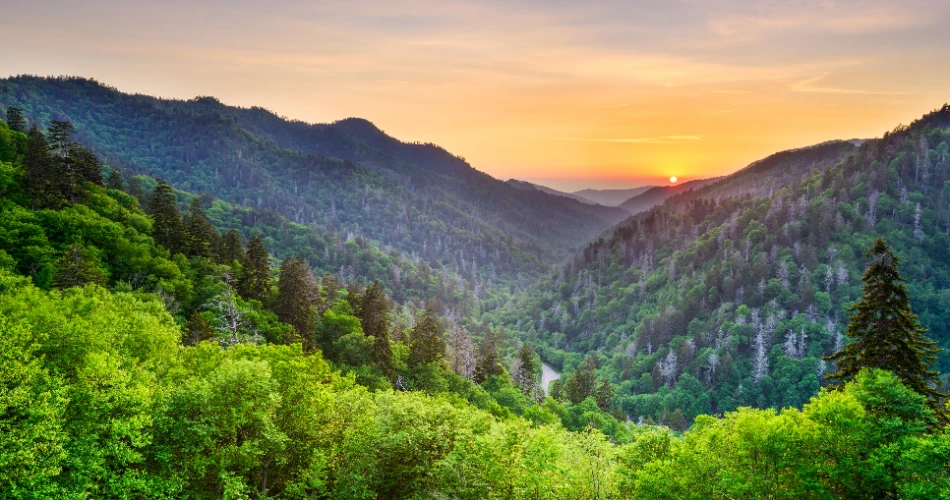 Where to Enjoy the Natural Beauty of Gatlinburg