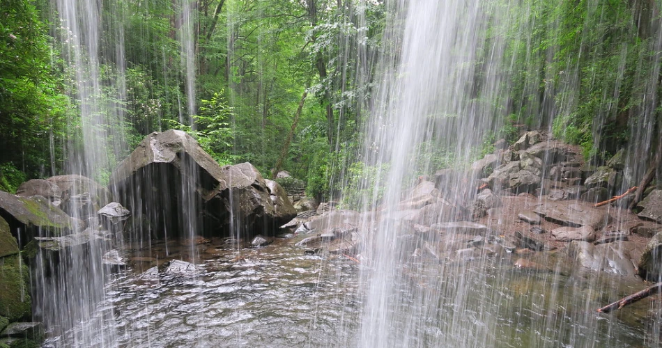 Where to Enjoy the Natural Beauty of Gatlinburg