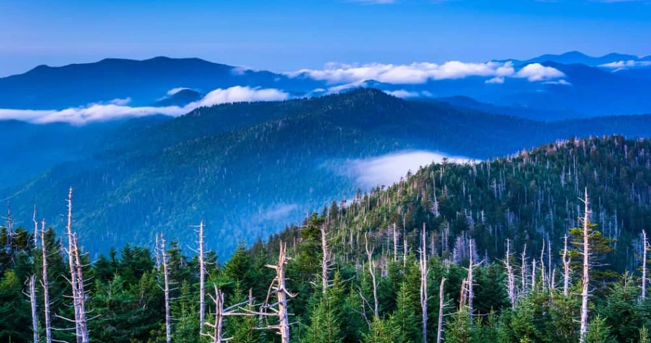 Where to Enjoy the Natural Beauty of Gatlinburg