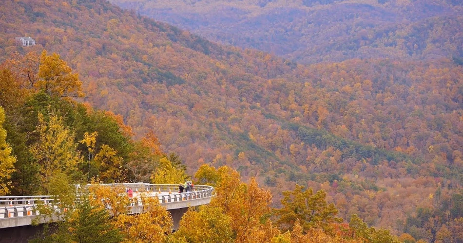 Mountain Views Worth Chasing Around Gatlinburg