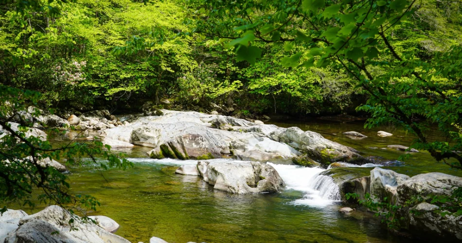 Mountain Views Worth Chasing Around Gatlinburg