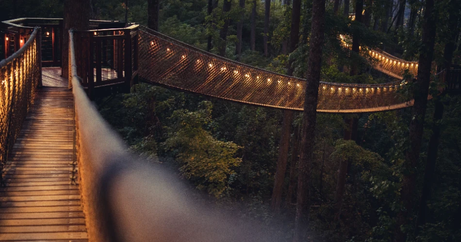 Best Places for a Peaceful Walk in Gatlinburg