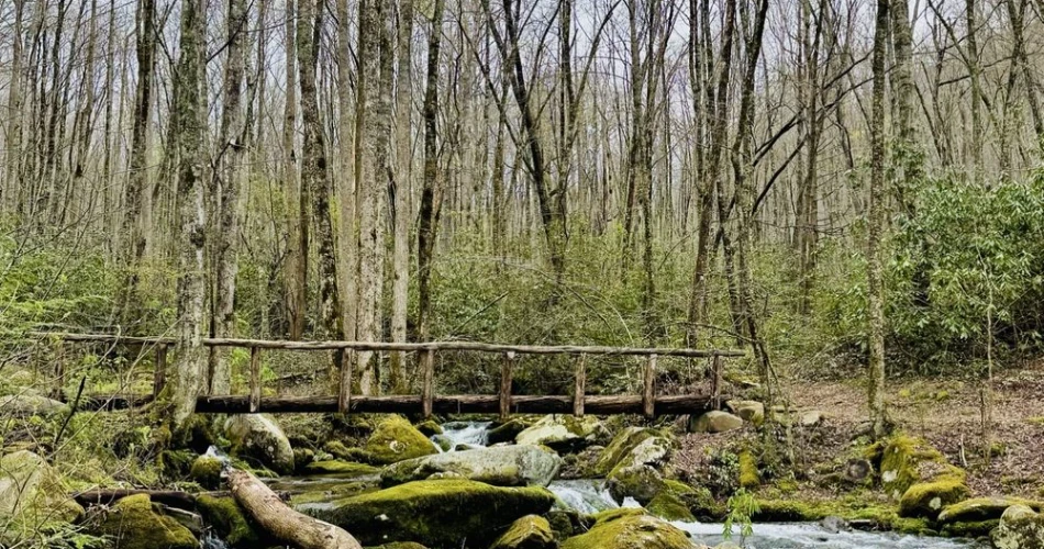 Best Places for a Peaceful Walk in Gatlinburg