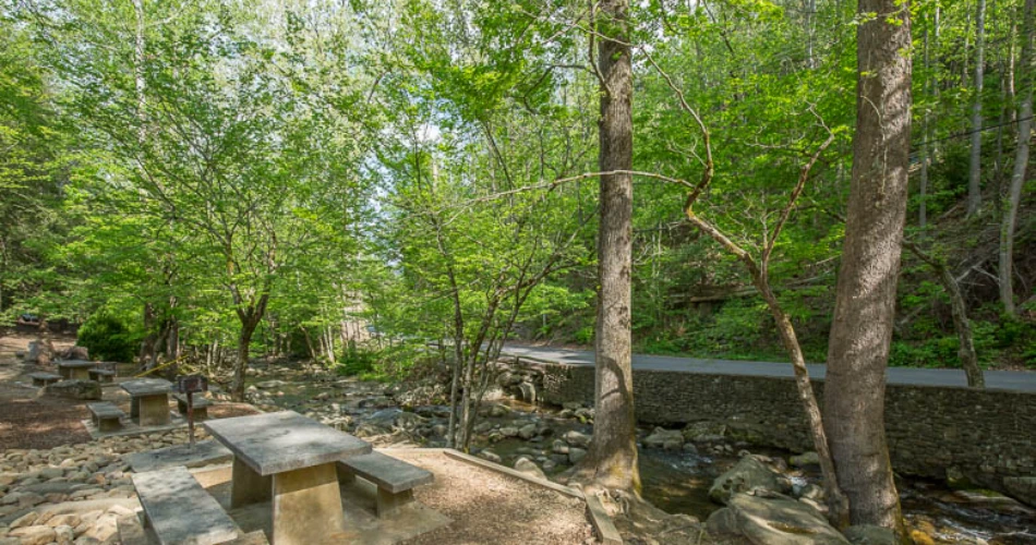 Best Places for a Peaceful Walk in Gatlinburg