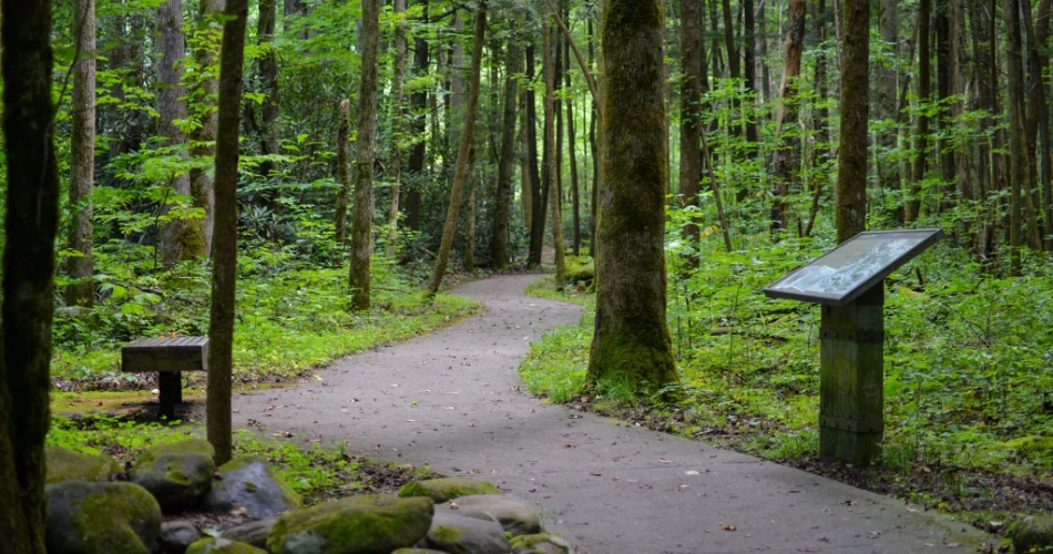 Best Places for a Peaceful Walk in Gatlinburg