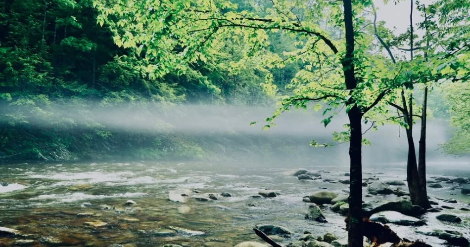 Best Places for a Peaceful Walk in Gatlinburg