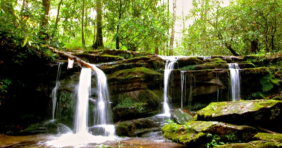 Nature Spots in Gatlinburg That Feel Like an Escape