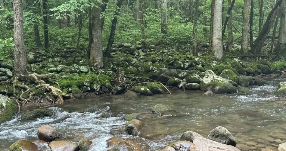 Nature Spots in Gatlinburg That Feel Like an Escape