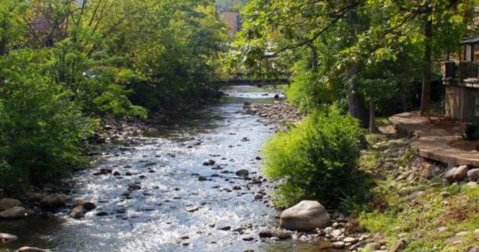 Nature Spots in Gatlinburg That Feel Like an Escape