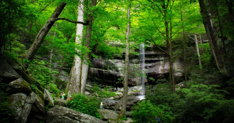 Best Short Hikes Around Gatlinburg