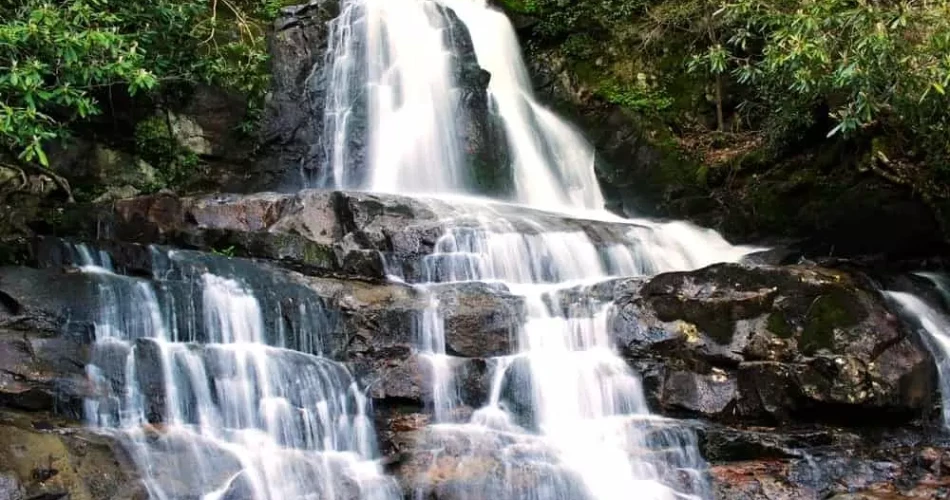 Best Short Hikes Around Gatlinburg