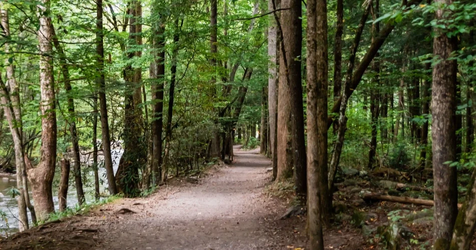 Best Short Hikes Around Gatlinburg