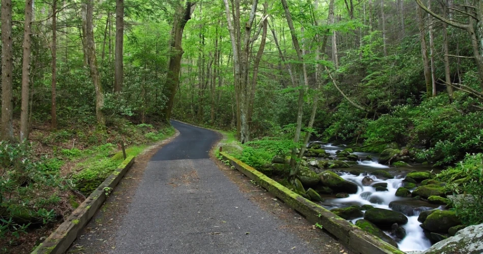 Scenic Hiking Trails to Explore Near Gatlinburg