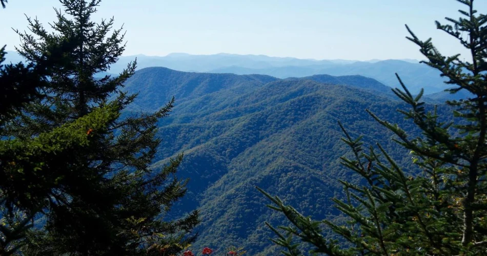 Scenic Hiking Trails to Explore Near Gatlinburg