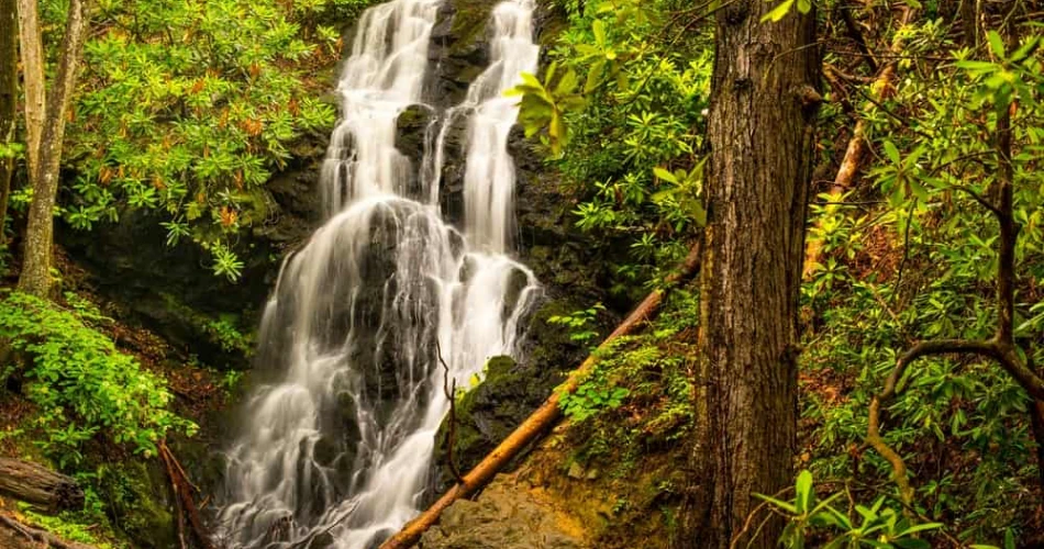 Scenic Hiking Trails to Explore Near Gatlinburg