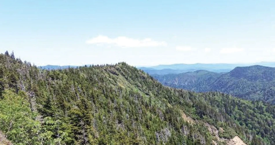 Scenic Hiking Trails to Explore Near Gatlinburg