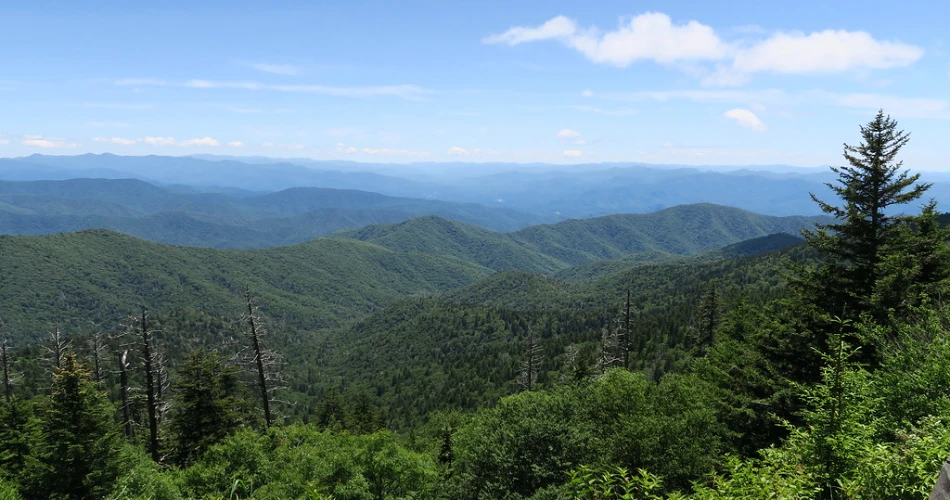 Scenic Hiking Trails to Explore Near Gatlinburg