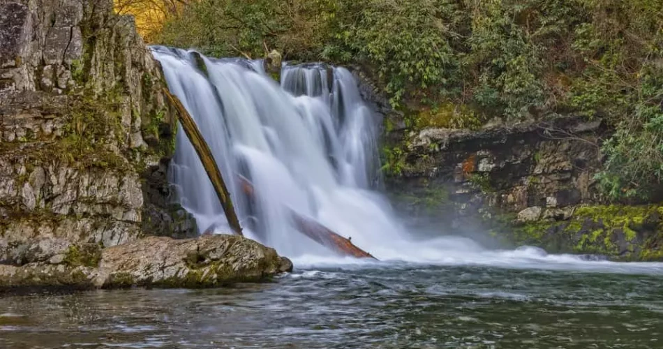 Scenic Hiking Trails to Explore Near Gatlinburg