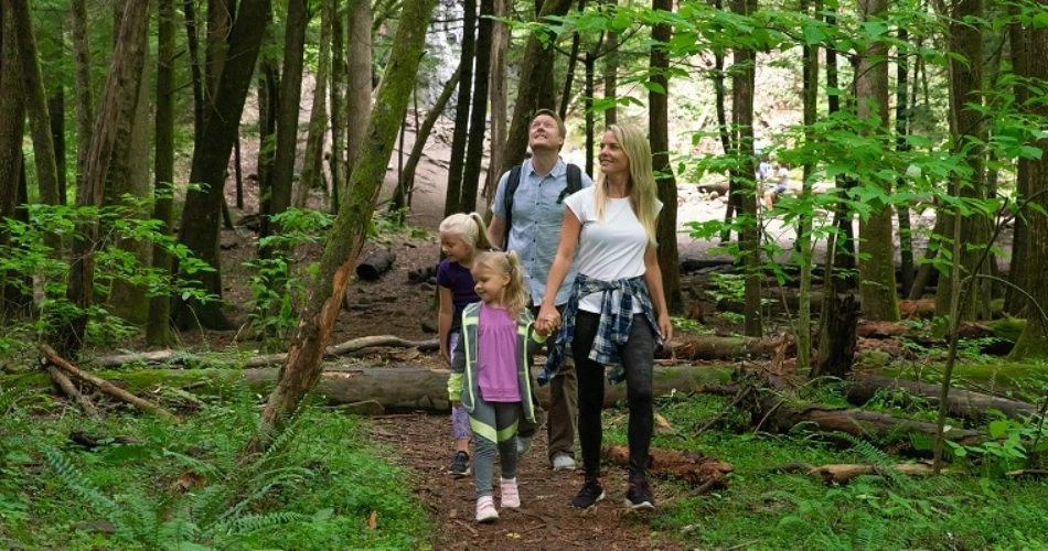 Scenic Hiking Trails to Explore Near Gatlinburg