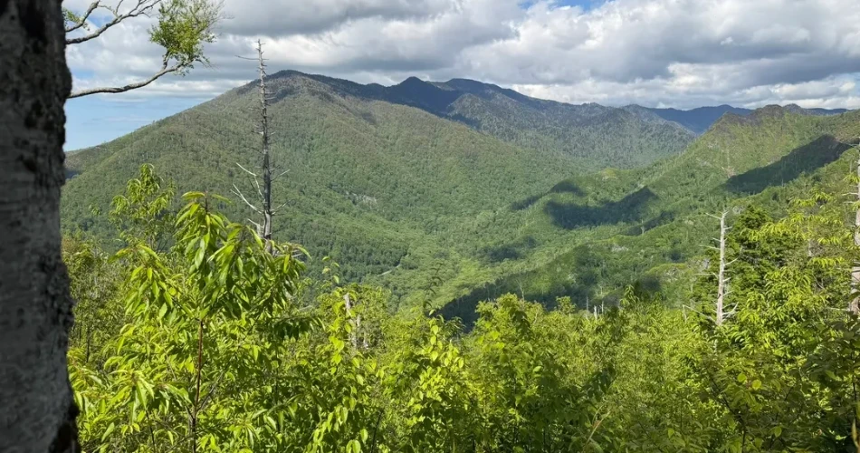 Where to Go Hiking Around Gatlinburg Without a Long Drive