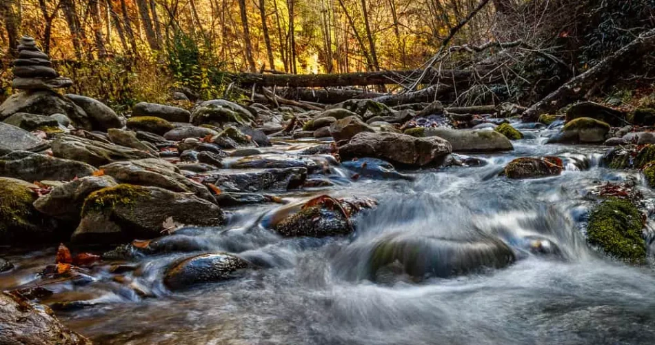 Where to Go Hiking Around Gatlinburg Without a Long Drive