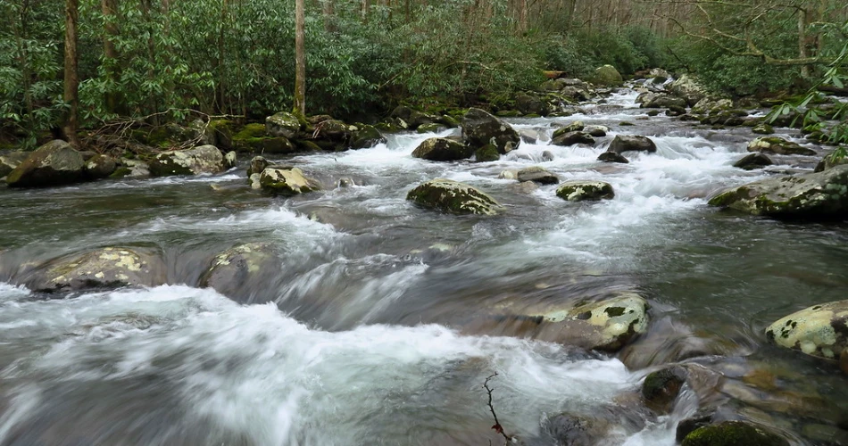 Where to Go Hiking Around Gatlinburg Without a Long Drive