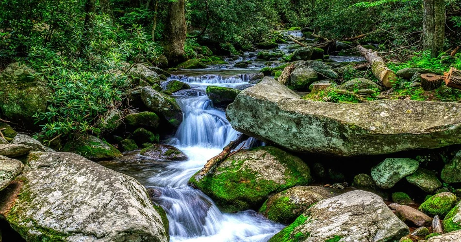 Where to Go Hiking Around Gatlinburg Without a Long Drive