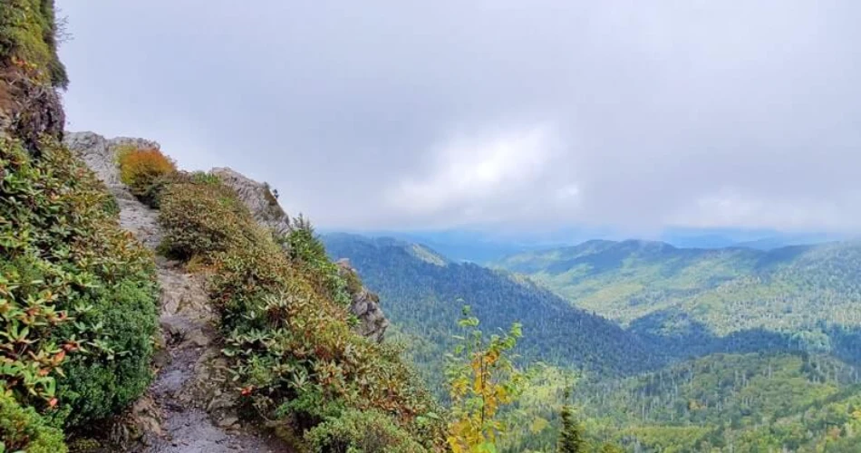 Where to Go Hiking Around Gatlinburg Without a Long Drive
