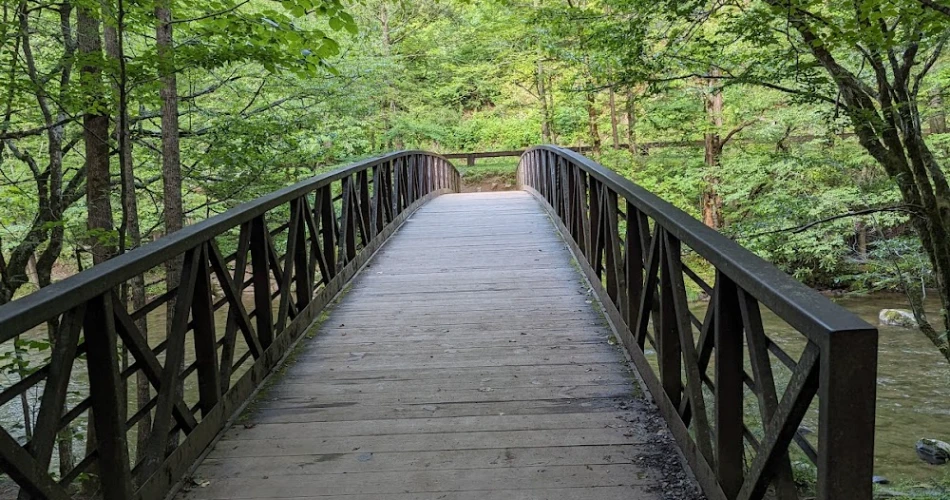 Beautiful Trails Near Gatlinburg for First-Time Hikers