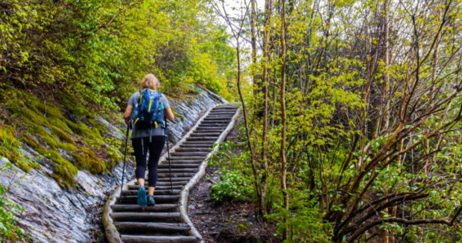 Beautiful Trails Near Gatlinburg for First-Time Hikers
