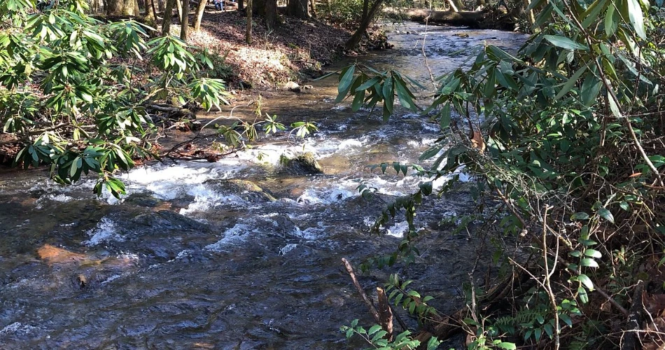 Beautiful Trails Near Gatlinburg for First-Time Hikers