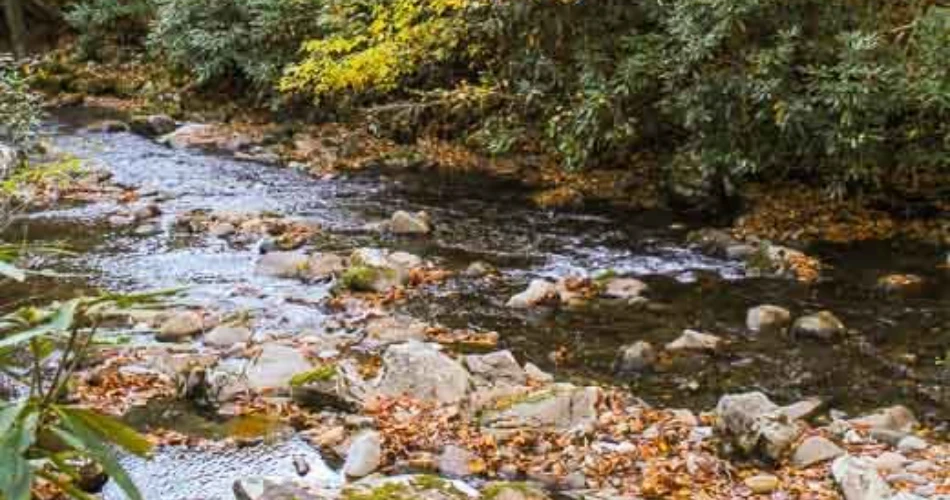 Beautiful Trails Near Gatlinburg for First-Time Hikers