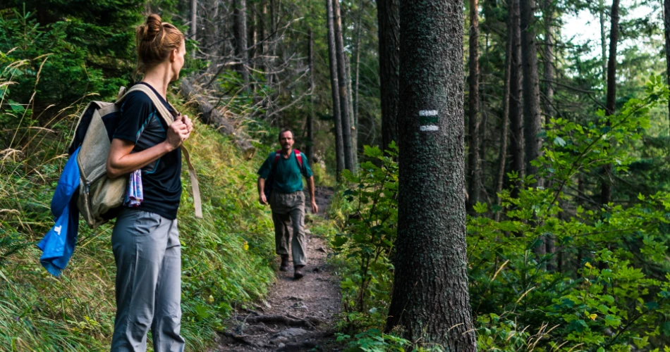 Beautiful Trails Near Gatlinburg for First-Time Hikers