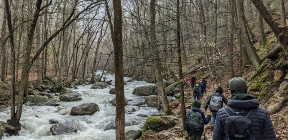 Hiking Near Gatlinburg When You Only Have a Few Hours