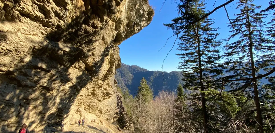 Hiking Near Gatlinburg When You Only Have a Few Hours