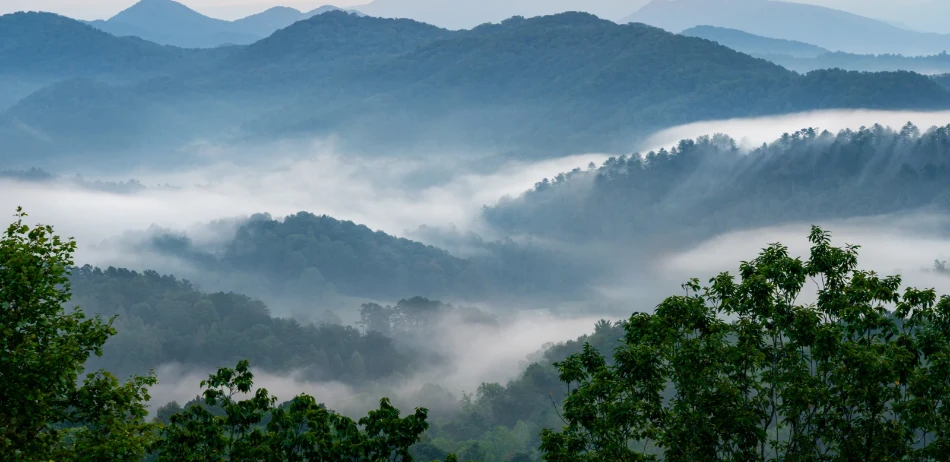 Hiking Near Gatlinburg When You Only Have a Few Hours