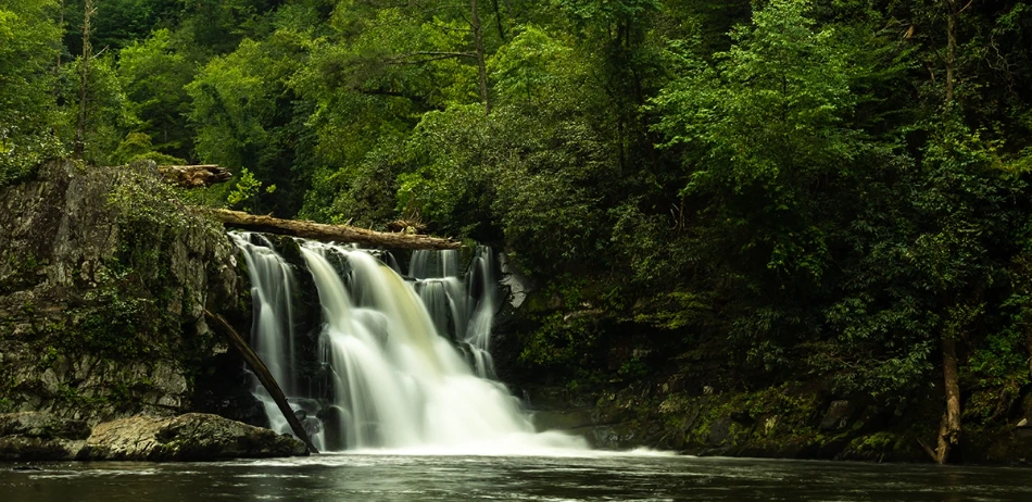 Hiking Near Gatlinburg When You Only Have a Few Hours