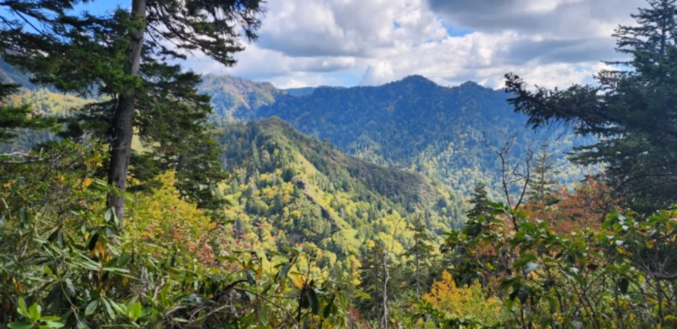 Hiking Near Gatlinburg When You Only Have a Few Hours