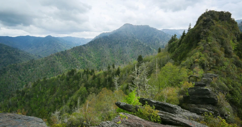 Mountain Trails Around Gatlinburg Worth Exploring