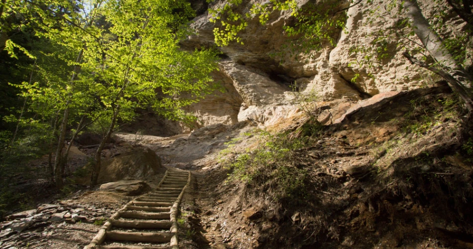 Mountain Trails Around Gatlinburg Worth Exploring