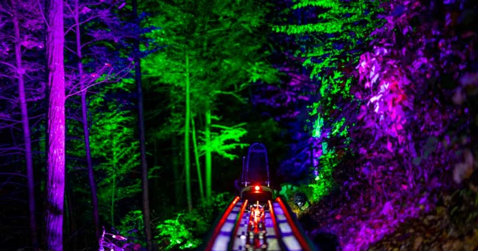 What to Do in Gatlinburg After Dark