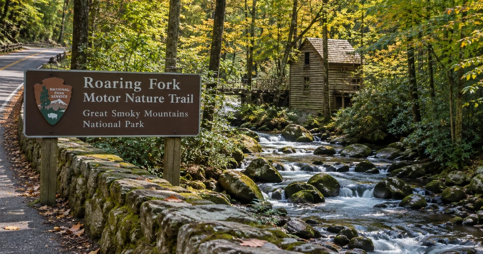 Easy Mountain Drives to Take During a Gatlinburg Stay