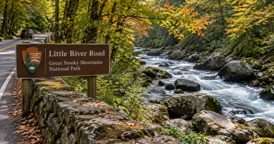 Easy Mountain Drives to Take During a Gatlinburg Stay