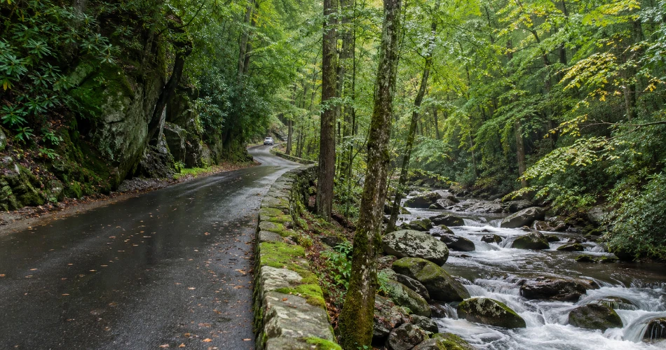 What to See First When You Arrive in Gatlinburg