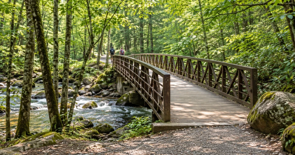 Gatlinburg Beyond the Parkway: Where the Day Can Take You
