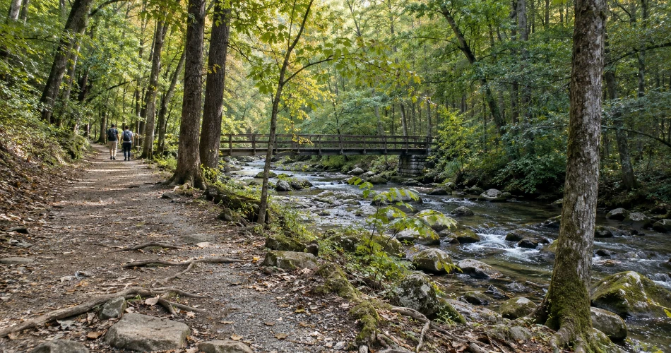 A Little More Time in Gatlinburg Goes a Long Way