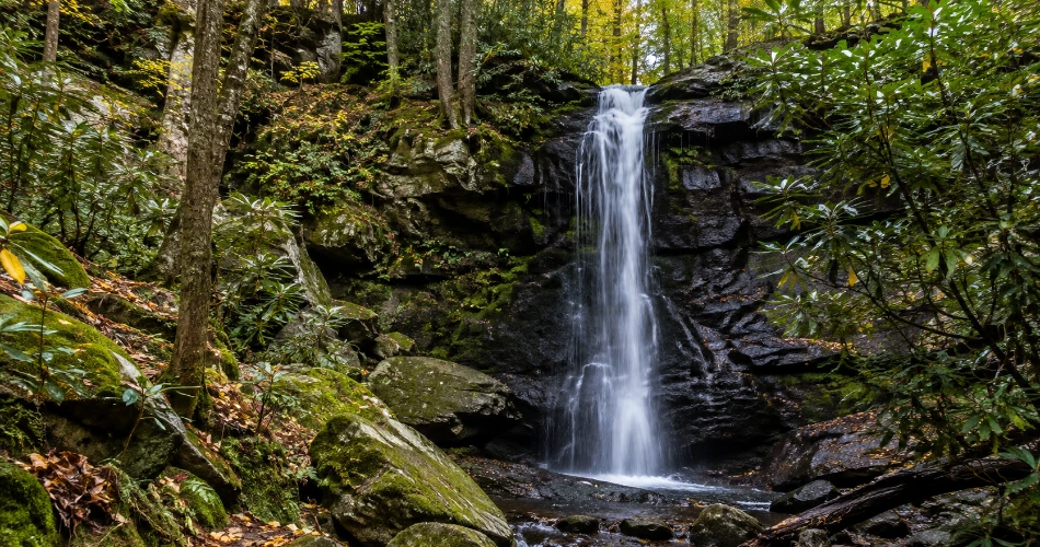 The Gatlinburg Places That Make You Want to Stay Longer